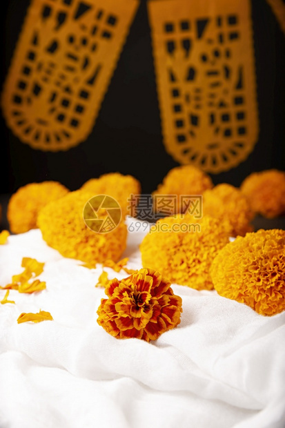 充满活力Cempasucheil橙色花朵或MarigoldTagetes在墨西哥纪念死者日的祭坛上传统用法季节墨西哥人图片