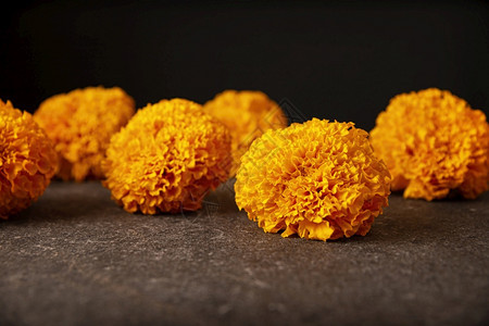 Cempasucheil橙色花朵或MarigoldTagetes在墨西哥纪念死者日的祭坛上传统用法季节新鲜的复制图片
