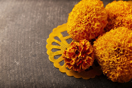头孢菌素华丽的Cempasucheil橙色花朵或MarigoldTagetes在墨西哥纪念死者日的祭坛上传统用法或者图片
