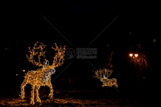 冬天罗马尼亚布加勒斯特市中心Cismigiu公园花的圣诞装饰品灯户外图片