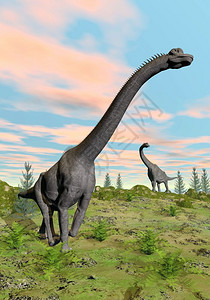 灭绝山动物两只恐龙在自然界中由多彩的日落绿草形成色的恐龙3D成形图片