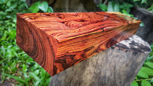 有条纹的木材精彩缅甸玫瑰木外林的美丽手工艺或背景图案图片