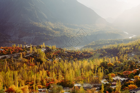 平静的在巴基斯坦GilgitBaltistan秋季的HunzaNagar山谷背景下卡拉科姆山脉的森林和中照亮了多彩的叶子树风景季图片