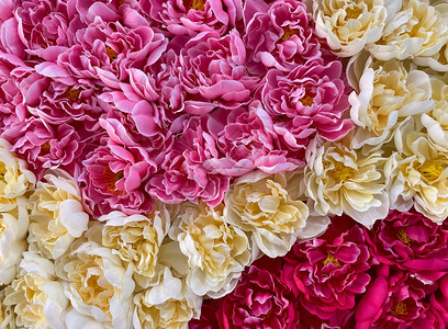 抽象的从织物上购商场墙壁上贴彩色人工鲜花的缝合在节日装饰给顾客感觉好背景前视面观为客户着想花朵了背景图片