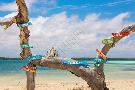 Bonaire海岸树干上面有彩色标志的名字游客旅行奈杰尔图片