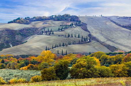 明信片农田意大利托斯卡纳传统农村乡美丽的意大利自然城市农村地区业图片