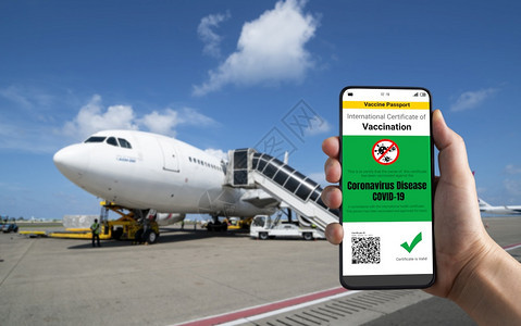 游客手拿疫苗通行证和护照登机图片
