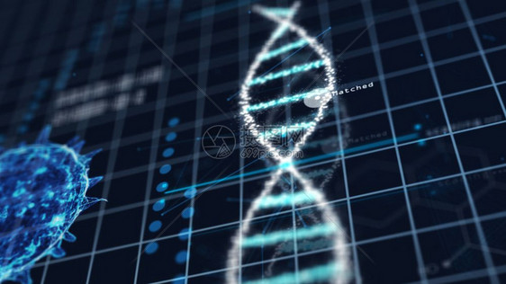 遗传全息图HUD界面和生物学概念数字屏幕技术创新的3D插图根据绿色电网背景对医学技术螺旋式DNADNT染色体实验室和分析进行抽象图片