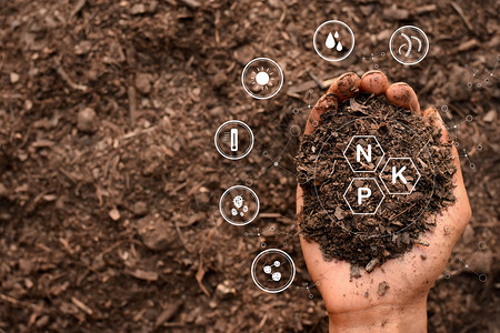 钼园艺人类的手握着土壤中富足的拥有种植物所需的有元素并包括数字图标生长图片