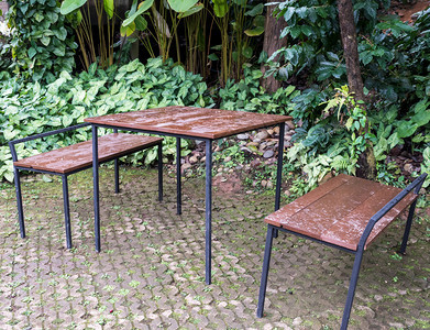 用于在植物园休息的砖地板上金属架桌和座椅露台阳地面图片