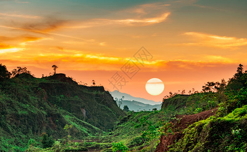 绿色风景泰国黄昏热带森林山区风光背景