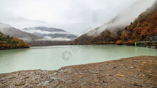 河边日志本秋天大坝和江山雾背景漂浮在大坝前的棕色木块森林图片