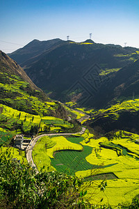 罗平太阳村油菜花田图片