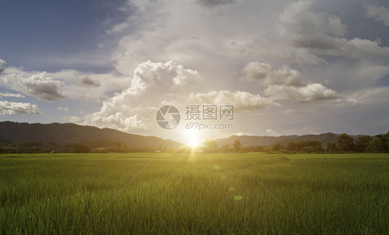 泰国山地和绿稻田乡村风景的美丽日出横越高山和绿稻田农场爬坡道谷物图片
