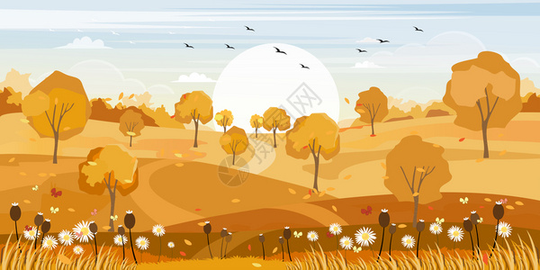 草地秋天的乡村全景观秋天的中风景与田野山地秋天黄叶树林中的野草以及秋天奇幻之地景观爬坡道插图图片
