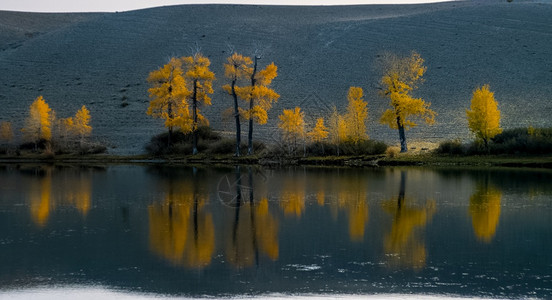 夏天阿尔泰山湖风景全一年中的时间是秋天阿尔泰山湖一年中的时间是秋天冒险徒步旅行图片