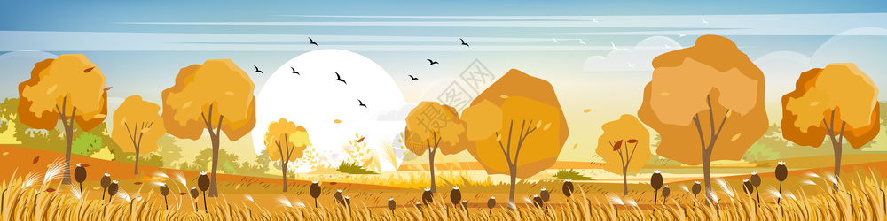 艺术秋天的乡村全景观秋天的中风景与田野山地秋天黄叶树林中的野草以及秋天奇幻之地景观爬坡道树叶图片