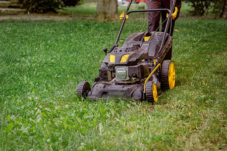 用途现场割草机特写工人在地上割草照料花园使用汽油割草机工人在地上割草使用汽油机户外生长图片