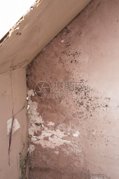 水损坏导致房屋内墙上霉菌生长特写镜头水损坏导致房屋内墙上霉菌生长一种哮喘孢子图片