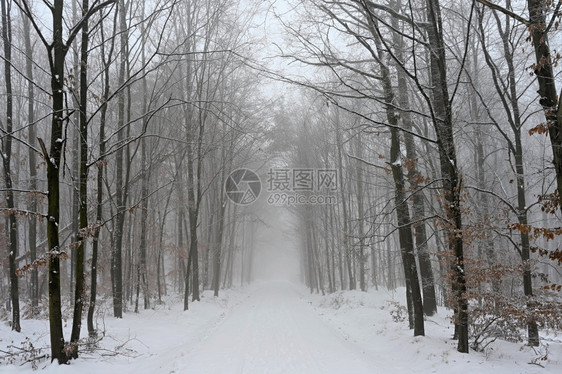 速度冬季在雪中危险驾驶交通和恶劣天气概念交通和恶劣天气的概念沥青车图片