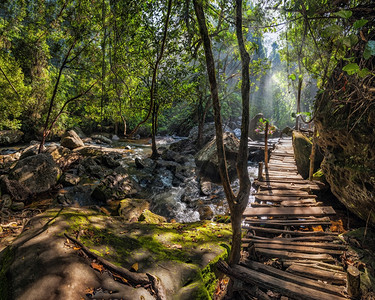 生态旅行木制的在柬埔寨库伦瀑布附近有木桥和河流的热带雨林风景阳光日图片