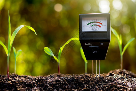 季节花园土壤测量表用于岩浆种植测量土壤酸度玉米图片