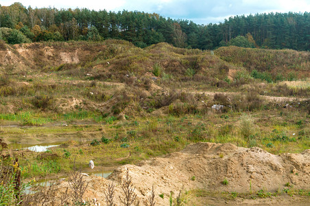 杂草丛生的土地图片