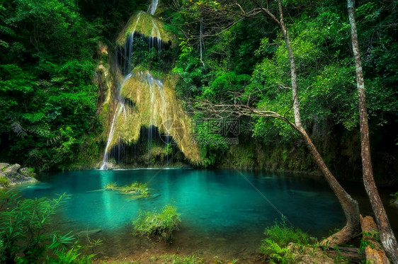 泰国热带森林的瀑布图片