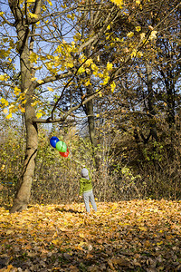 红色的夏天孩子孤独男在印度夏季秋天气阳光日在公园里走小气球和喜庆时间男孩手中印度夏日秋天阳光的子图片