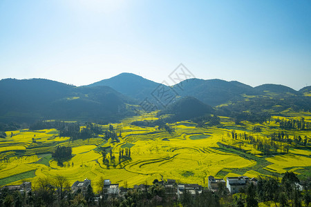 爬坡道景观罗平县螺田司油菜花小村落土地图片