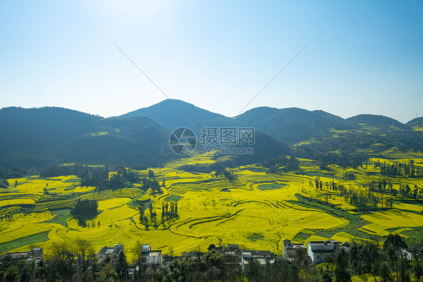 爬坡道景观罗平县螺田司油菜花小村落土地图片