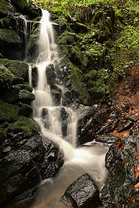 湿的户外自然在小溪上美丽的瀑布天然多彩背景森林的石头上有自来水场景图片