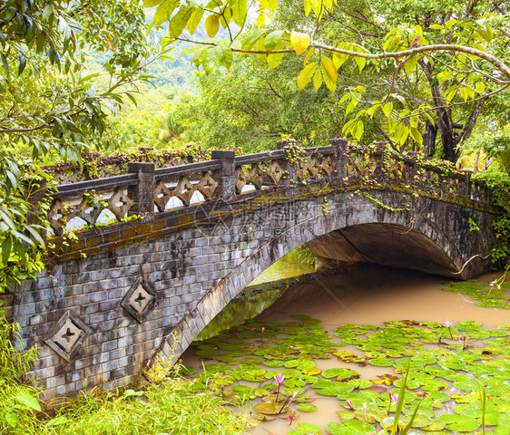 池塘植物河上古老的罗马石桥董图片