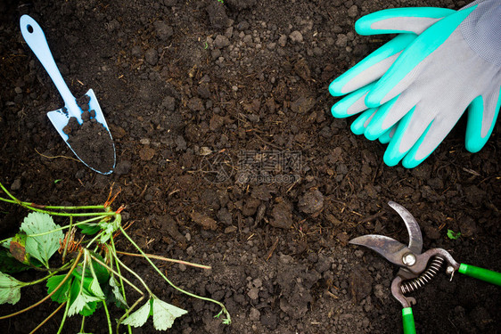 花园里的春季工作园艺具修枝手套和新鲜地面上的铲子种植物的准备工作培育草莓灌木成套工具土壤垃圾摇滚图片