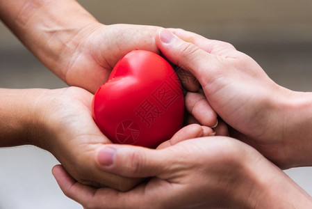 将红心贴近手作为脏捐赠者给予红心作为爱的情人节日医疗呼吸器和捐心者慈善悲与健康之征兆帮助医生亲手为自由命献身女士妈棕榈图片