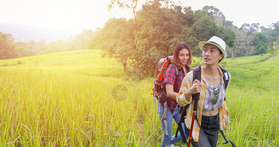 女孩男人带着朋友背包一起徒步旅行看在路边照相摄影机拍寻找快乐的喜悦假期概念旅行时间较慢亚洲集团青年群与朋友背包一起远足旅行森林图片