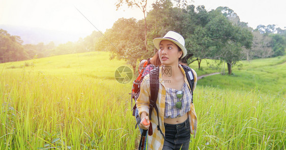 背包客带着朋友一起徒步旅行看在路边照相摄影机拍寻找快乐的喜悦假期概念旅行时间较慢亚洲集团青年群与朋友背包一起远足旅行徒步者泰国图片