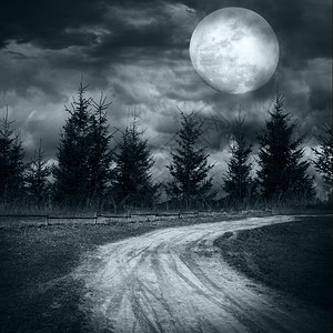 月光下的闹鬼德古拉在满月之夜天空下神秘的林中满月之夜一片漆黑的天空下背景