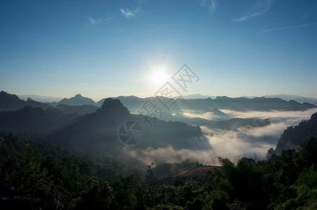 旅游荒野顶峰清晨林中美丽的雾绿山有青BaanJaboMeeHongSon泰国森林中的雾图片