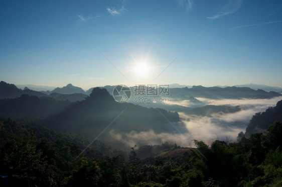 旅游荒野顶峰清晨林中美丽的雾绿山有青BaanJaboMeeHongSon泰国森林中的雾图片