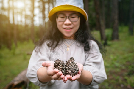 裙子身着白礼戴帽的亚洲女游客在自然小径森林公园上持松树绿中的锥圣诞节季图片