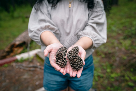 新鲜的旅行身着白礼戴帽子的亚洲女游客在自然小径森林公园上持松树绿中的锥假期图片