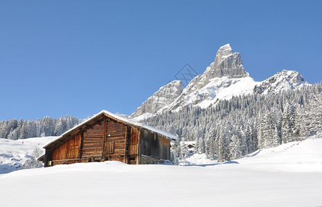 冬季雪景风光图片