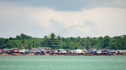 海滩泰国安达曼KohLibohg岛渔村海洋棕榈图片