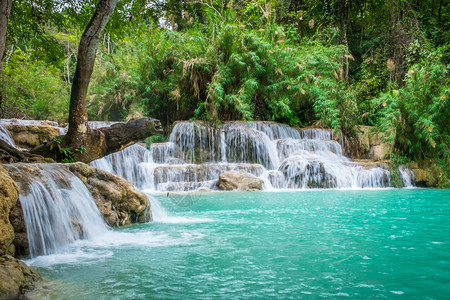 劳斯LuangPrabang附近KuangSi瀑布的绿石水銮级联风景优美图片
