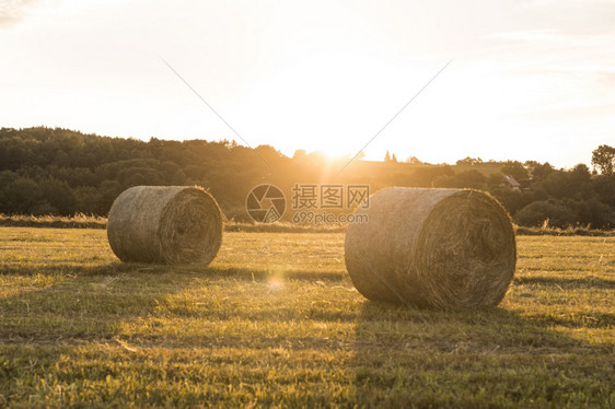 太阳金的美丽风景与滚干草日落谷物图片