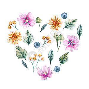 一组水颜色的野花和叶子水颜色的插图上面有橘子大石小鸭菊花甘绿叶和花芽白色背景样板上隔绝的心脏形状用于婚礼设计花的织物丰富多彩图片