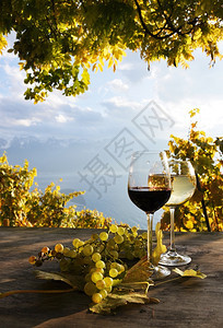 束瑞士拉瓦克斯地区葡萄和的玻璃和浪漫盛大图片