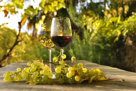 红酒杯农业瑞士拉瓦克斯地区葡萄和的玻璃和浪漫的图片