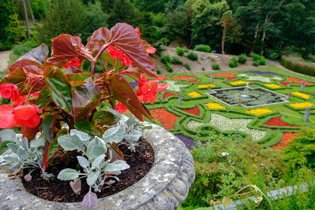 顶峰联合王国CheshireCheshire高峰区LymeHall州立住宅的花盆和美丽园分支丰富多彩的图片